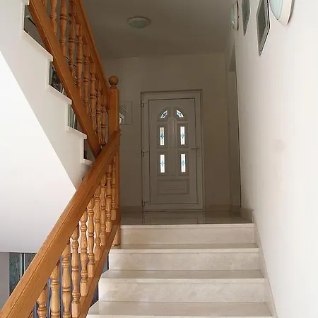 Omis 12194c *